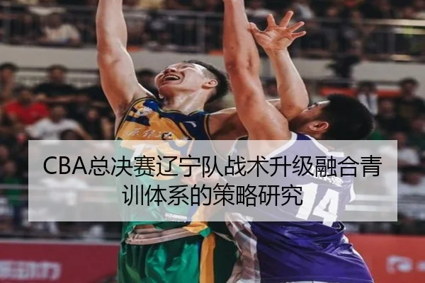 CBA总决赛辽宁队战术升级融合青训体系的策略研究