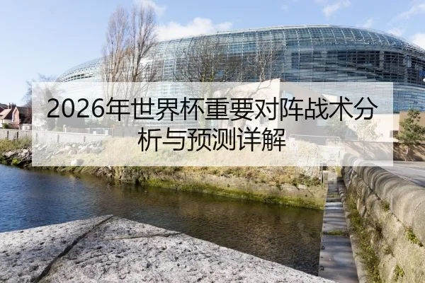 2026年世界杯重要对阵战术分析与预测详解